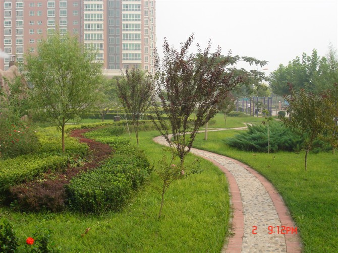 ��Ҷ������ࣩ��СҶ�����ҶŮ�ꡢ��ҶС�ޡ�������ì���¼��������ӽ�������צ����ľ�ȡ�ʯ���������ձ�ӣ���������򡢶��㡢���պ졢��Ҷ���ҡ���Ҷ÷����Ҷ���Ҷ���Ҷ��ӣ������÷������