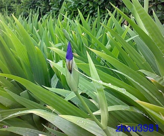 ʯ��ׯ�ϻ��β|�ӱ��ϻ��β|�ϻ��β�۸�